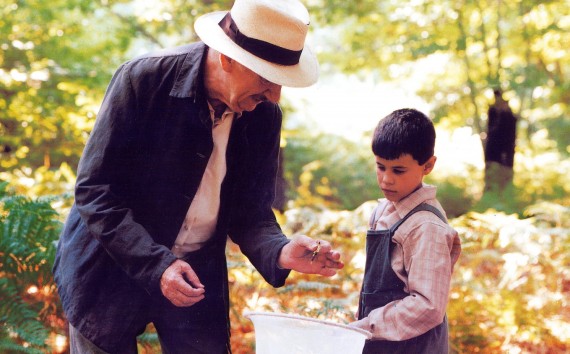 La_lengua_de_las_mariposas_thumb