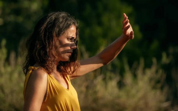 Los_destellos_web_thumb