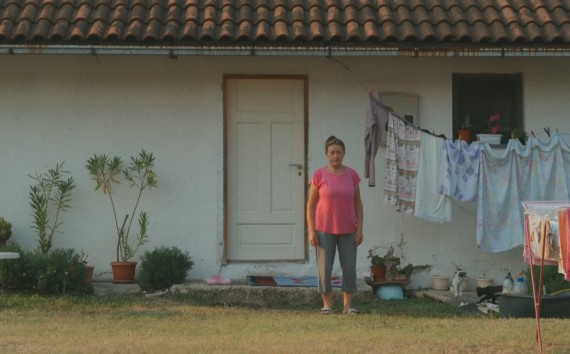 __copyright_Majmun_Films