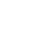 logo mostra de valencia