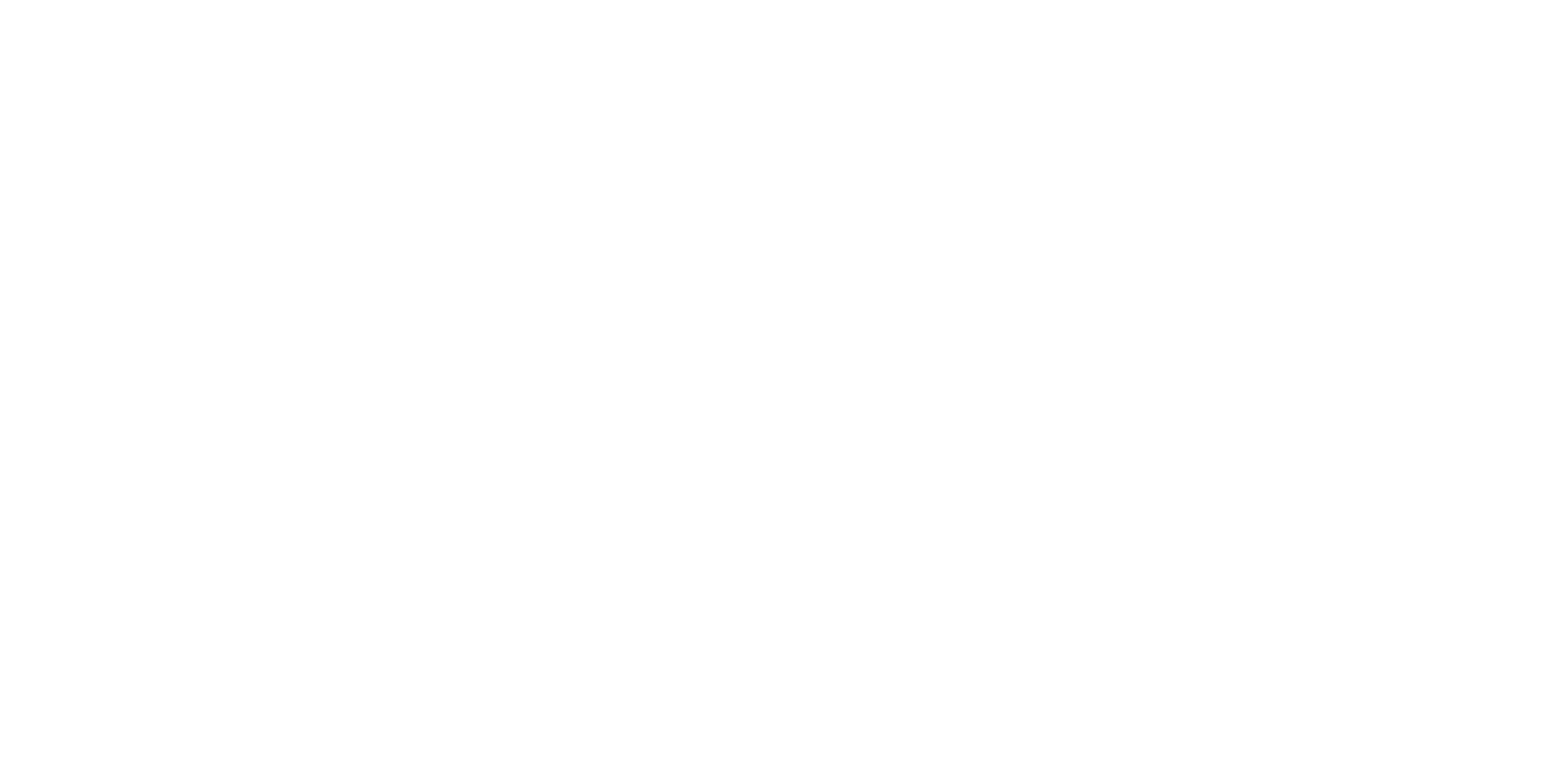 logo palau valencia